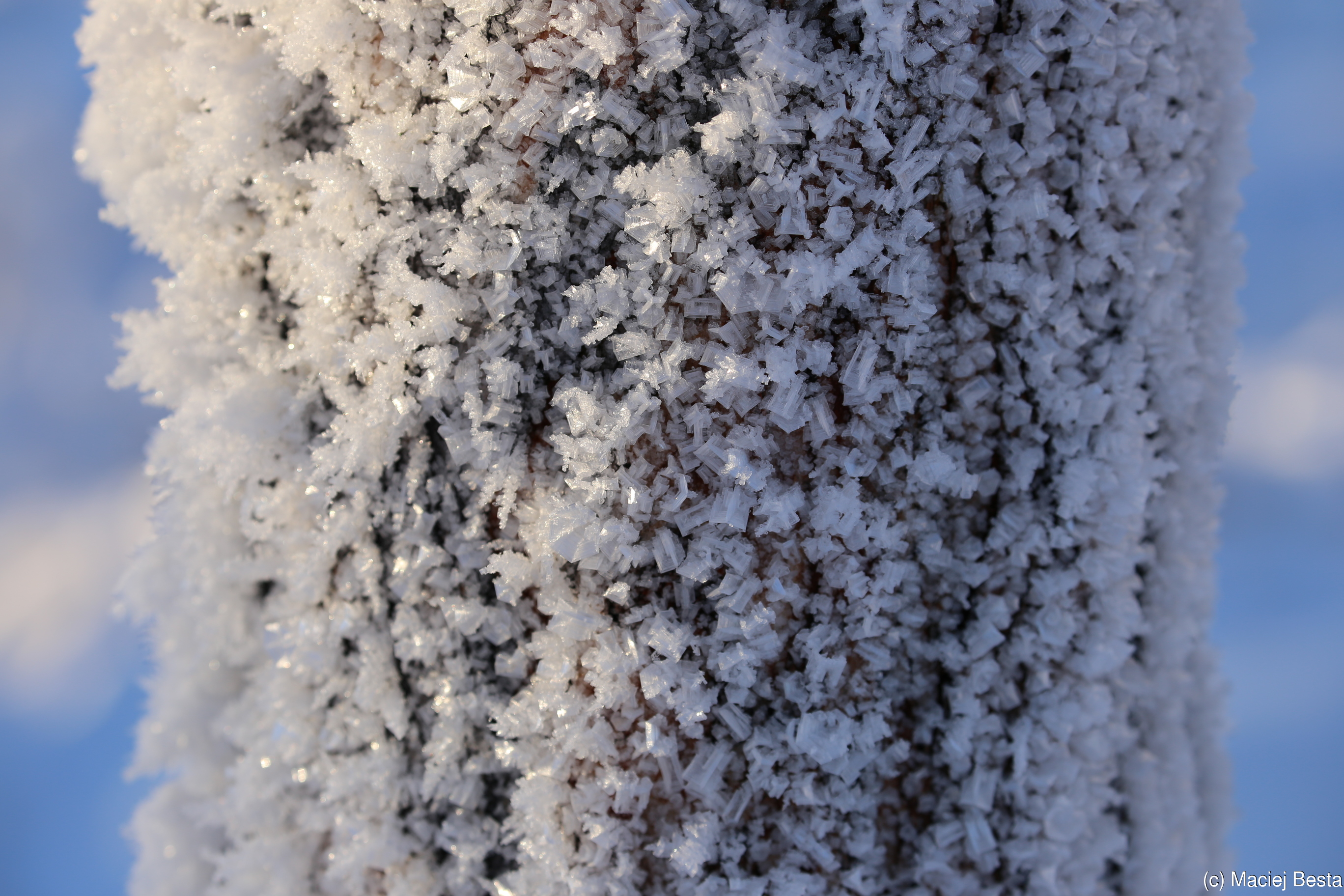 Details of Siberia