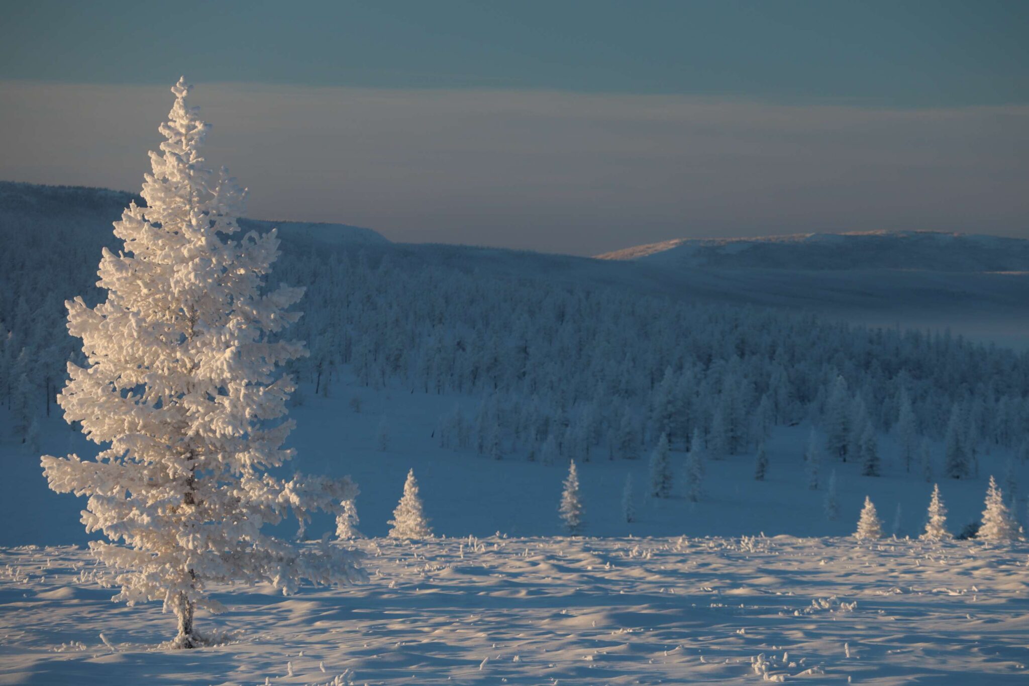 Chersky Mountains 2023 Winter Solo